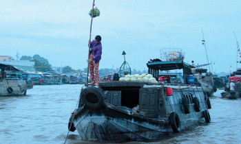 cho noi cai rang